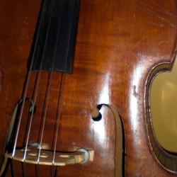 Acoustic Bass
